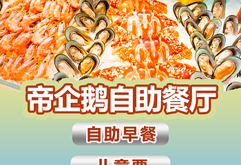 珠海长隆企鹅酒店•帝企鹅自助餐厅•儿童岛•真企鹅第 48 张图片