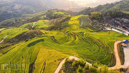 云上梯田景区第 4 张图片