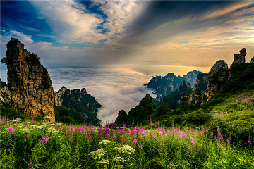 白石山世界地质公园第 50 张图片