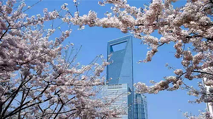 上海环球金融中心观光厅第 18 张图片