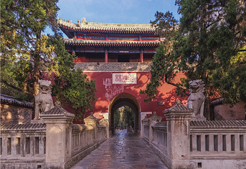 曲阜三孔景区第 24 张图片