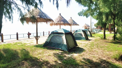 北海金海湾红树林生态旅游区第 41 张图片
