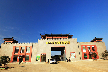 安陆钱冲古银杏生态旅游区第 9 张图片