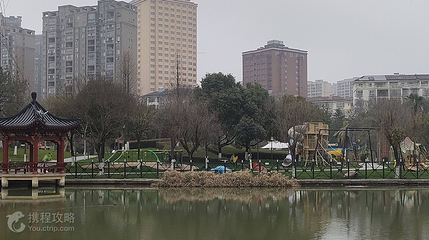 奇趣恐龙岛第 2 张图片