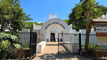 阿鲁沙自然历史博物馆