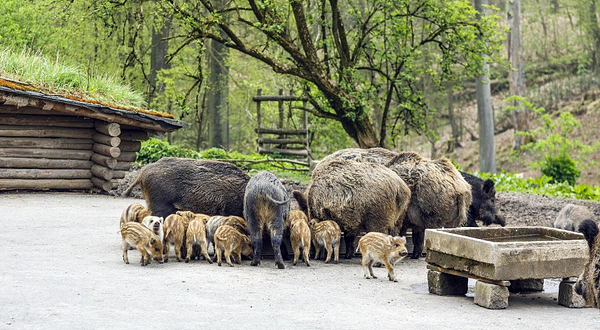 杜塞尔多夫天然公园