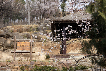 兰陵压油沟风景区第 71 张图片