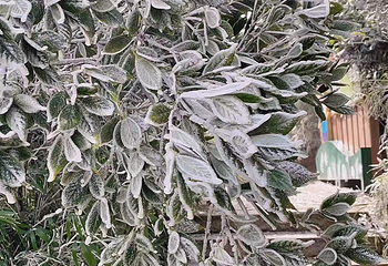 石牛山景区第 146 张图片