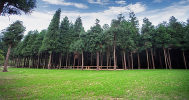 拾云营地(拾云童话森林)