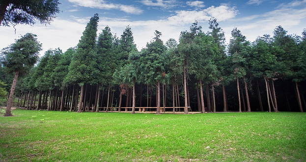 拾云营地(拾云童话森林)