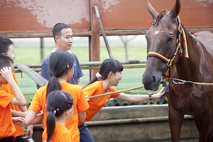 青城马术俱乐部