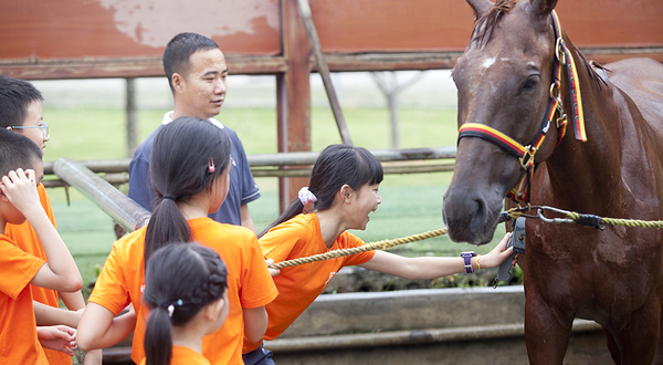 青城马术俱乐部