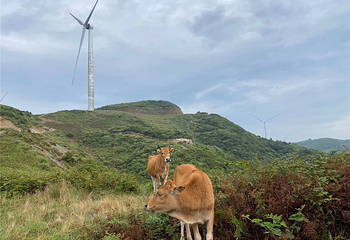 塔山瑶乡天堂山景区第 6 张图片