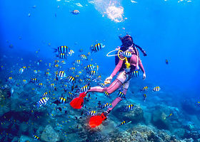 亚龙湾爱琴海PADI潜水度假村