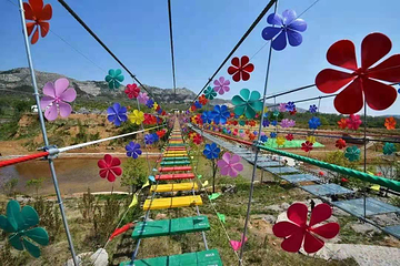 青州杏花村旅游度假区第 12 张图片