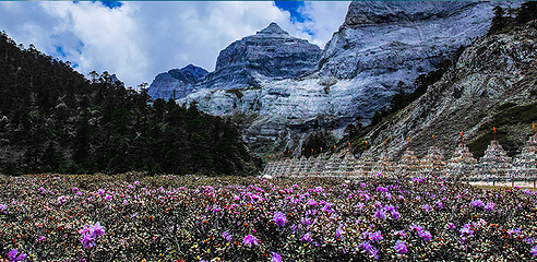 香格里拉巴拉格宗风景名胜区第 90 张图片