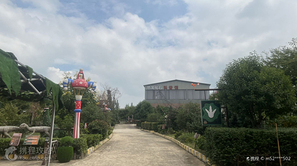 开心龙部落第 3 张图片
