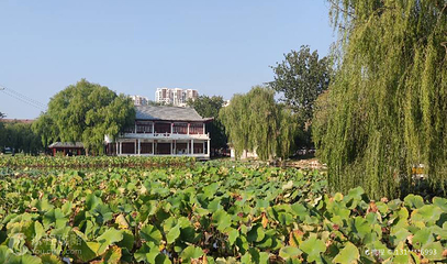 自怡园第 2 张图片