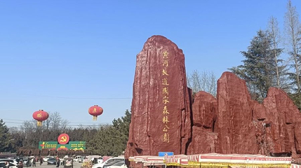 夏津黄河故道森林公园第 1 张图片