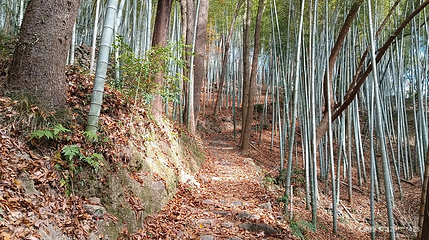 茶辽古道第 4 张图片