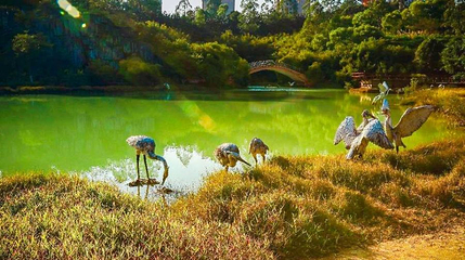 西湾旅游景区-白鹭公园第 1 张图片