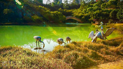 西湾旅游景区-白鹭公园第 4 张图片