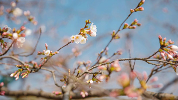 长安唐村·南堡古寨