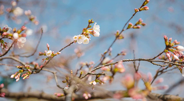 长安唐村·南堡古寨