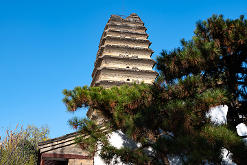 小雁塔遗址公园第 42 张图片