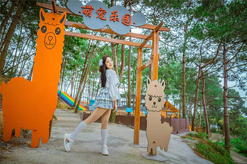 东江湖旅游区第 113 张图片