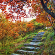 北京药王谷风景区