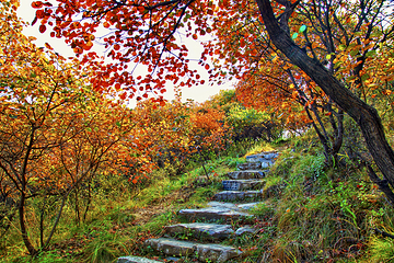 北京药王谷风景区第 1 张图片