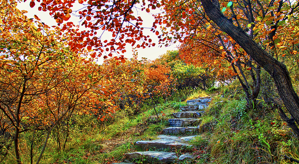 北京药王谷风景区