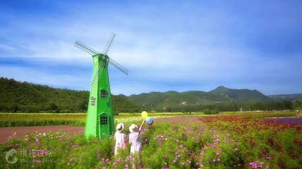 花乐园景区第 5 张图片