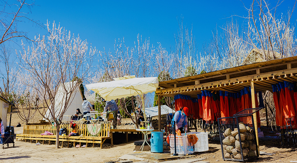 美小豹亲子自然教育·帐篷营地