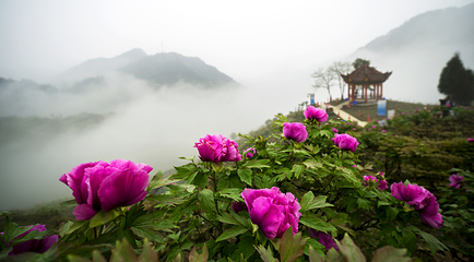 恺之峰旅游区第 44 张图片
