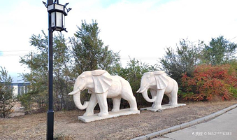 扎赉特旗森林公园