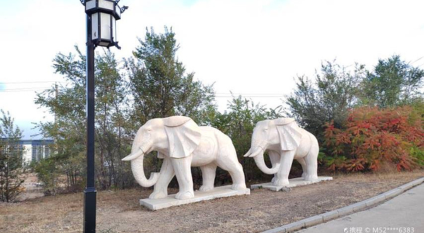 扎赉特旗森林公园