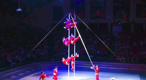 济州马戏团世界