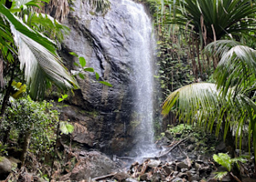 五月谷国家公园瀑布