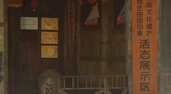 成都非物质文化遗产成都名堂技艺田园印象活态展示区
