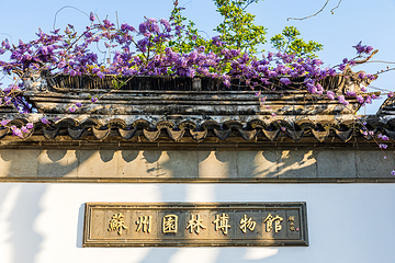 拙政园第 508 张图片