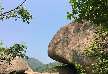大龙山乌龙溪景区第 11 张图片
