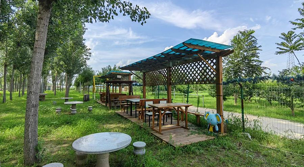 津杨风情家庭农场