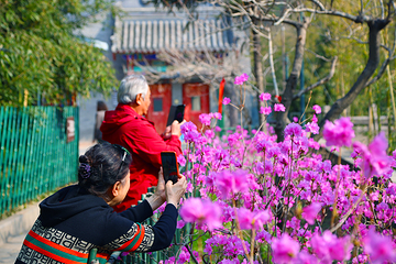 红螺寺第 58 张图片