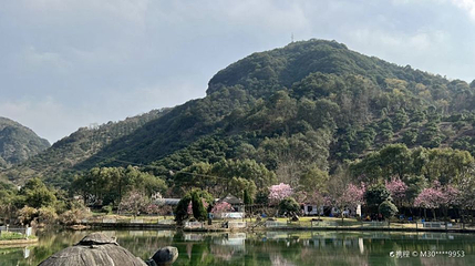 酒埕岩风景区(酒埕岩风景区店)第 1 张图片