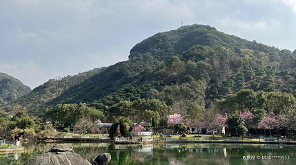 酒埕岩风景区(酒埕岩风景区店)第 4 张图片