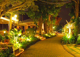 迈阿密海滩植物园