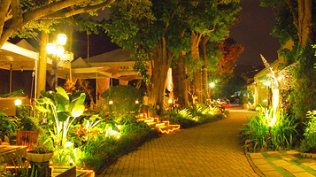 迈阿密海滩植物园