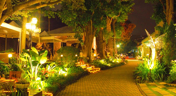 迈阿密海滩植物园